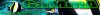 Gamma2.jpg