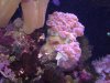 DSCF0915.JPG