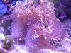 DSCF0931.JPG
