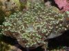 DSCF0951.JPG