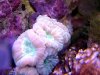 2005_0423Macro0014.jpg