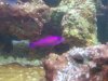newpicsoftank3.JPG
