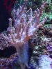 DSC00713.JPG