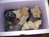 DSC01005.JPG