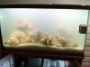 DSC01013.JPG