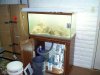 DSC01010.JPG