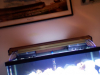 Picture 1.png