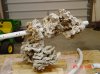 DSC02845.jpg