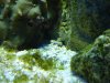 DSC01444.jpg