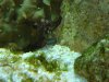 DSC01445.jpg