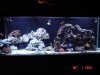 DSC02849.jpg