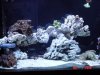 DSC02850.jpg