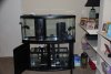 saltwater pic 001.jpg