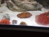 DSCN0549.JPG