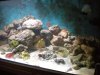 DSCN0553.JPG