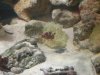 DSCN0554.JPG