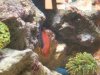 DSCN0561.JPG
