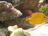DSCN0562.JPG