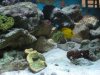 DSCN0564.JPG