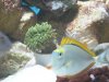 DSCN0568.JPG