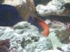DSCN0570.JPG