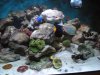 DSCN0578.JPG