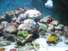 DSCN0579.JPG