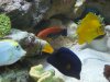DSCN0580.JPG