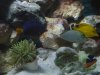 DSCN0581.JPG