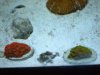 DSCN0583.JPG