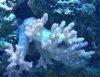 DSC02621.jpg