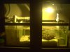 PICT0030.jpg