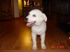 DSC02860.jpg