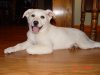 DSC02862.jpg
