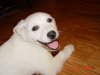 DSC02863.jpg