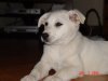 DSC02869.jpg