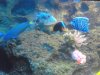 DSCF9633.jpg