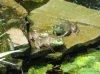 3reef.jpg