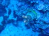 DSC00667.jpg