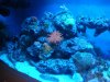 DSC00669.jpg