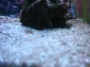 DSC04086.jpg