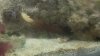 DSC00785.jpg