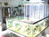 DSC08392.jpg