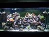 DSCF1526a.JPG