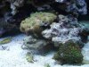 DSCF1538a.JPG