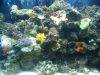 2009-07-14 00.45.55.jpg