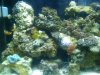 2009-07-14 00.46.06.jpg