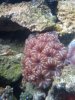 2009-06-14 11.37.07.jpg