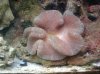 2009-06-04 15.39.17.jpg