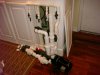 DSC00689.jpg